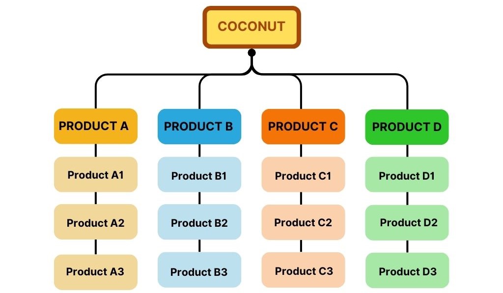 Diagram of coconut product process flows